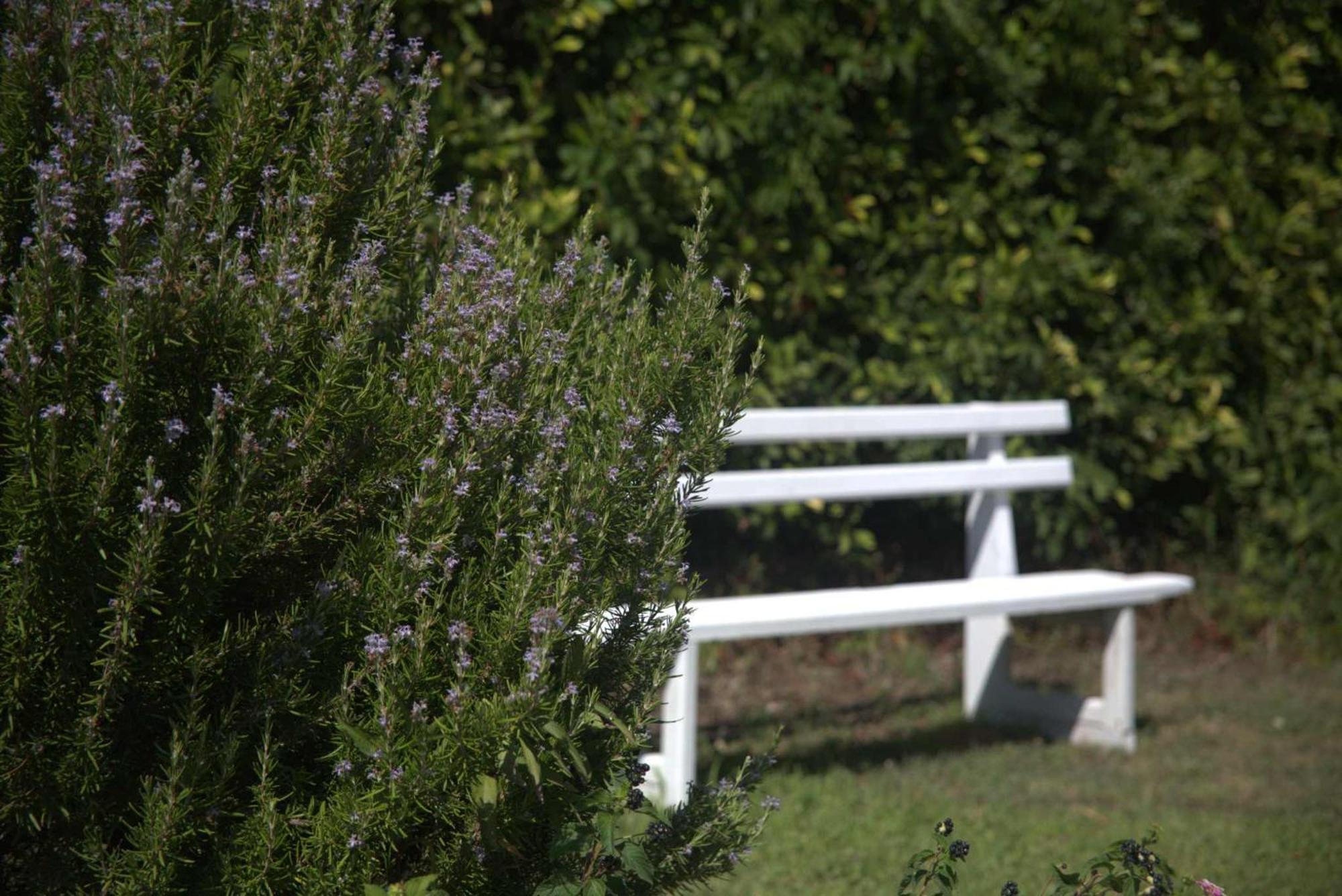 Evripidis Hotel Afytos Bagian luar foto
